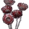 Protea Rosette Klein