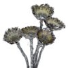 Protea Rosette Klein – Bild 2