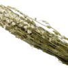 Rittersporn 65-75cm (75g)