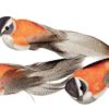 Vogel 13cm – Bild 2