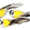 Vogel 13cm – Bild 4